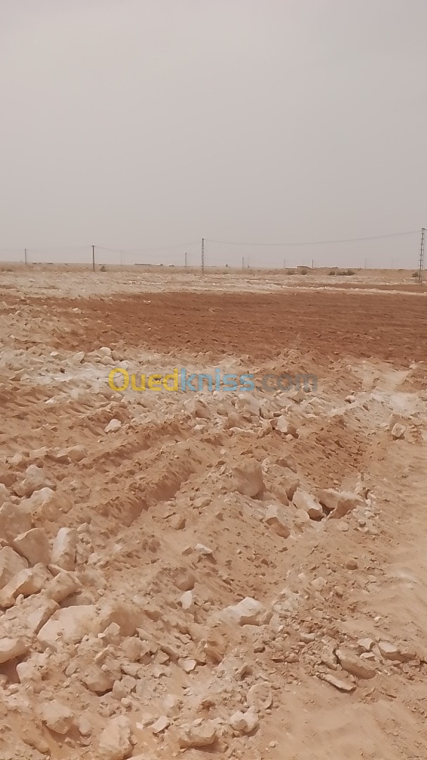 Vente Terrain Agricole Biskra Tolga