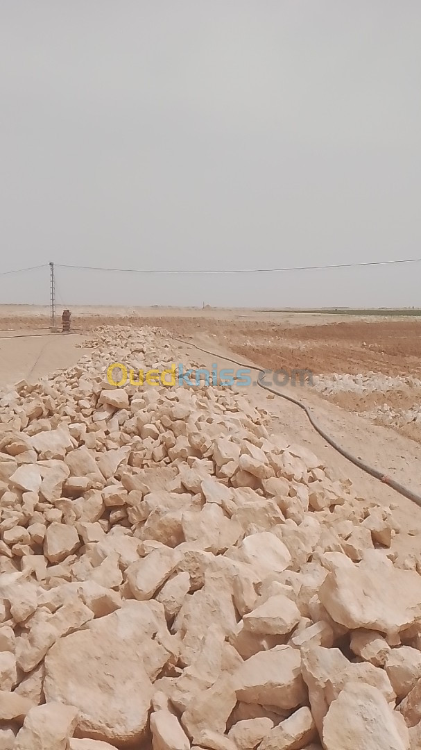 Vente Terrain Agricole Biskra Tolga