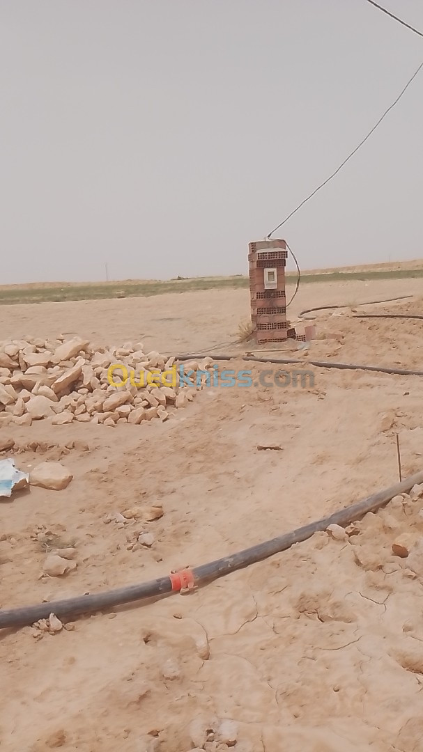 Vente Terrain Agricole Biskra Tolga