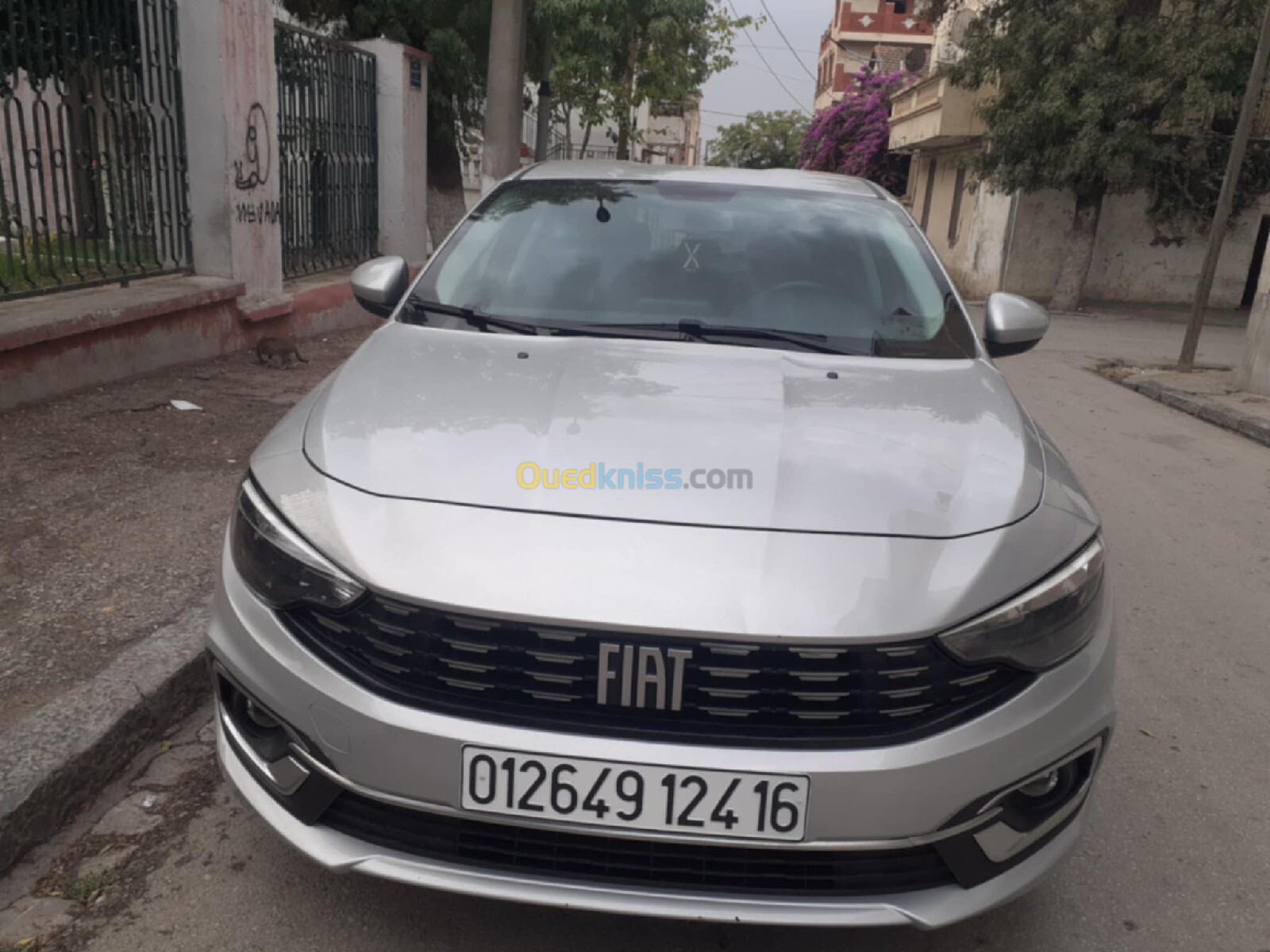 Fiat Tipo 2024 Live