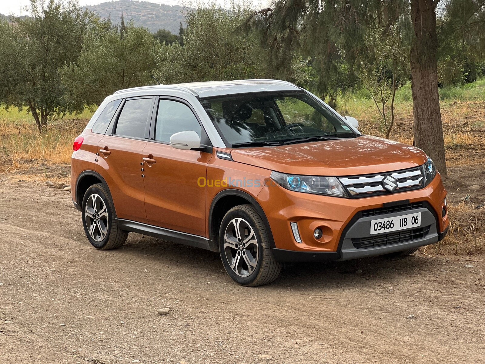 Suzuki Vitara 2018 