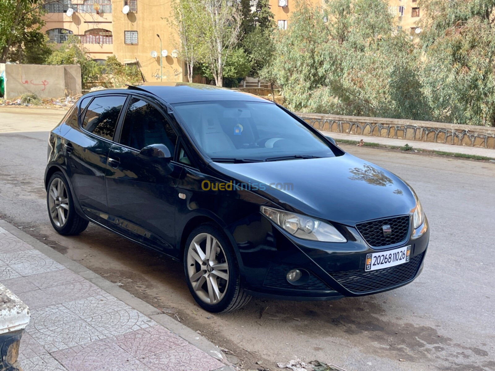 Seat Ibiza 2010 