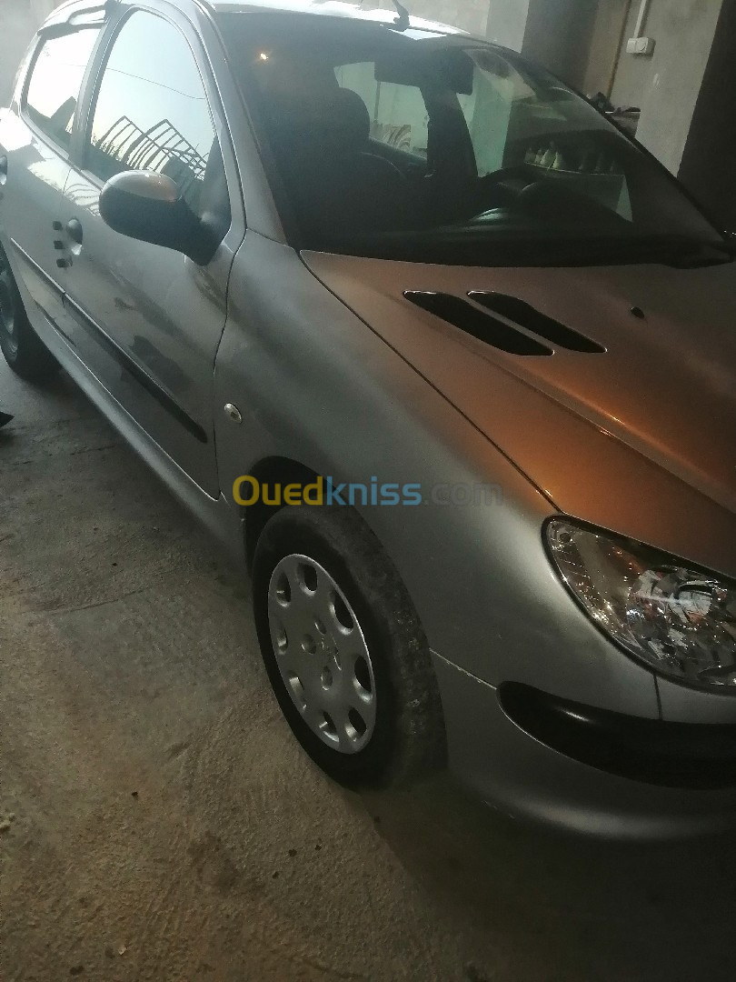 Peugeot 206 2006 206