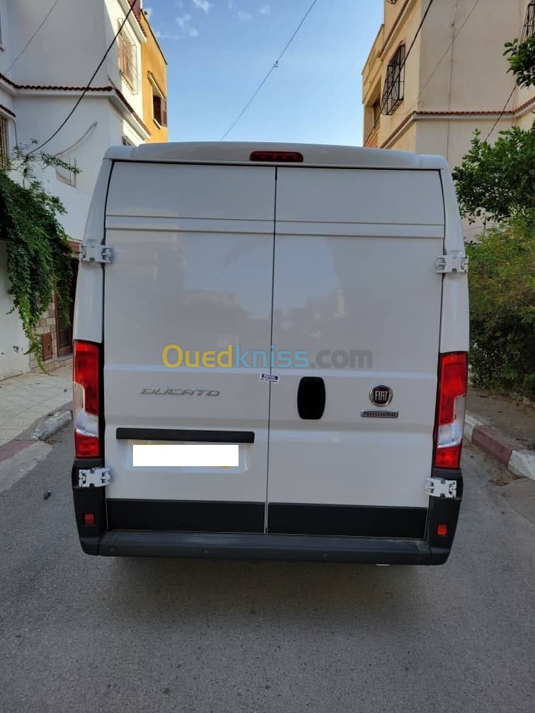 DUCATO Fiat 2023