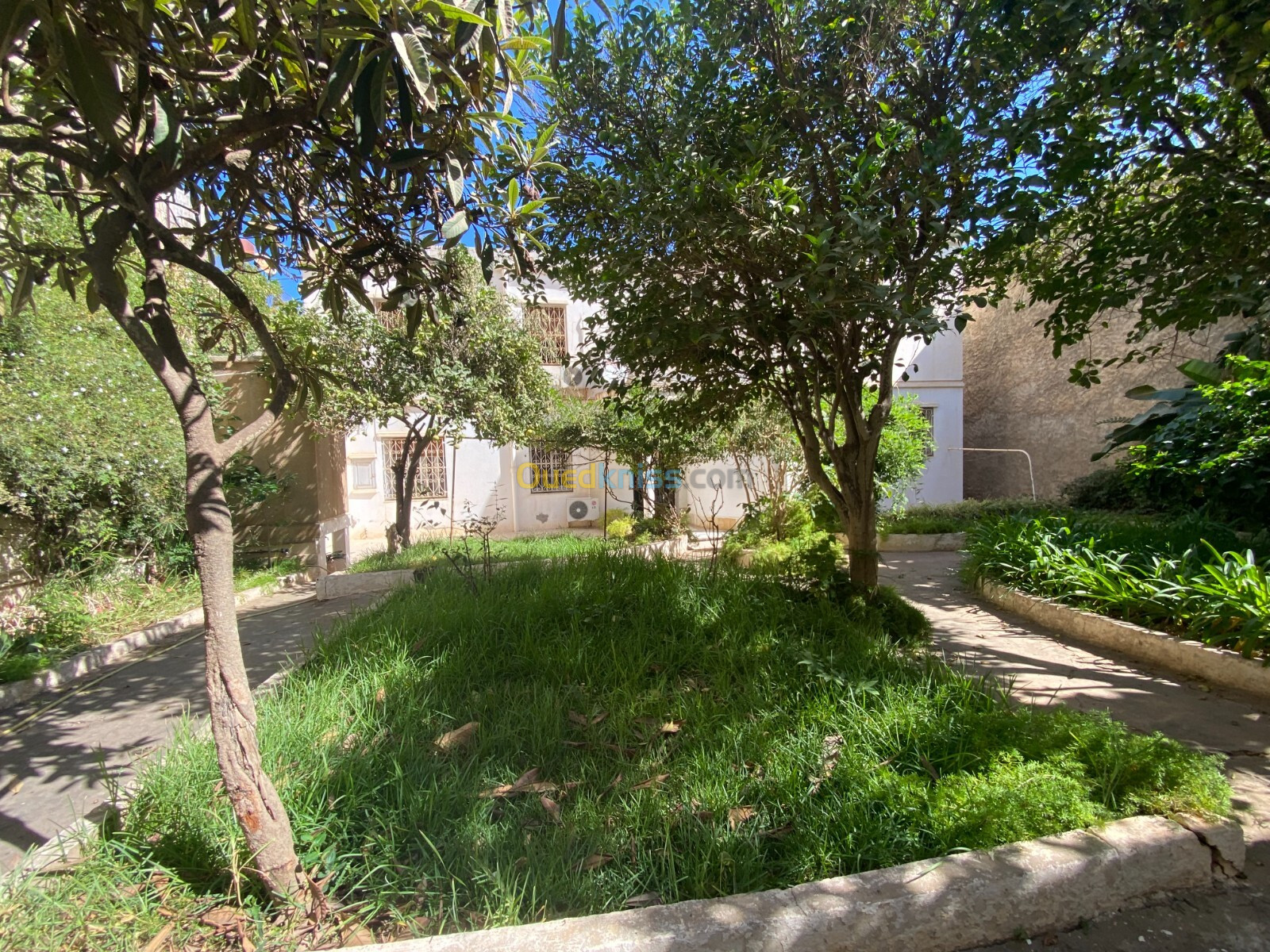 Vente Villa Alger Bologhine