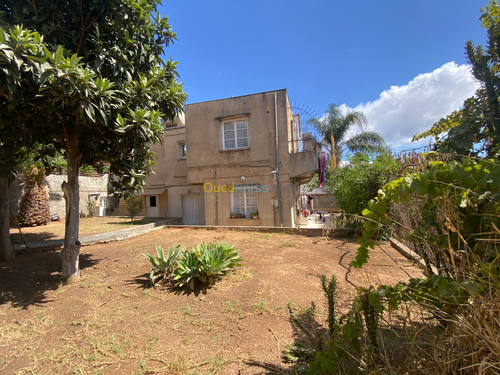 Vente Villa Alger Hydra