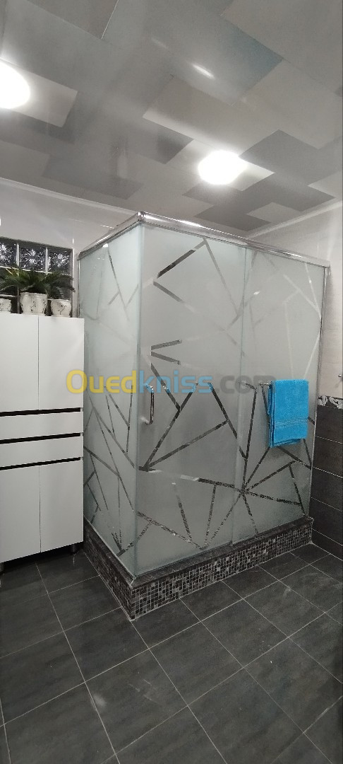 Vitrine-cabine de douche 