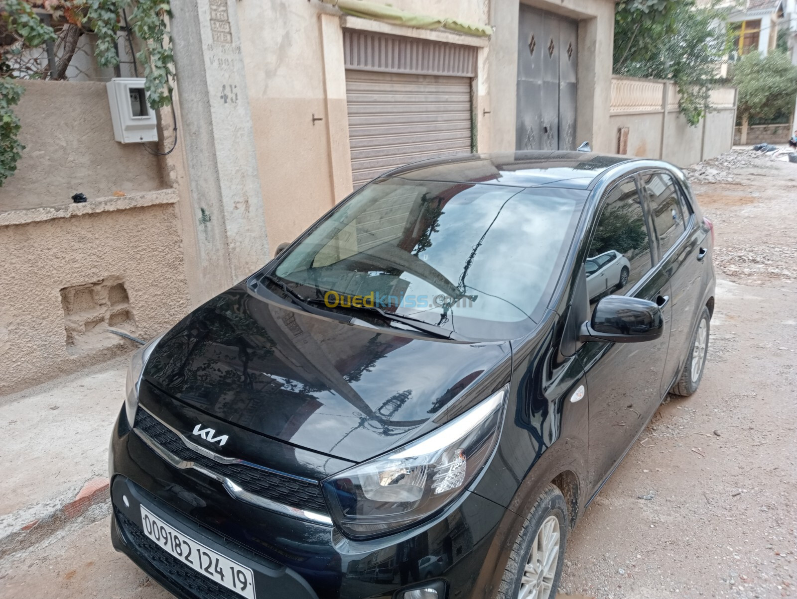 Kia Picanto 2024 XT start