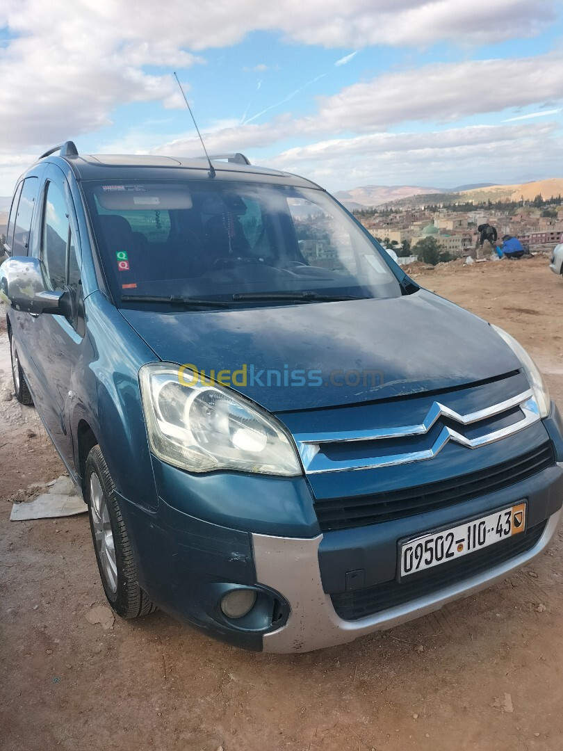 Citroen Berlingo 2010 Berlingo