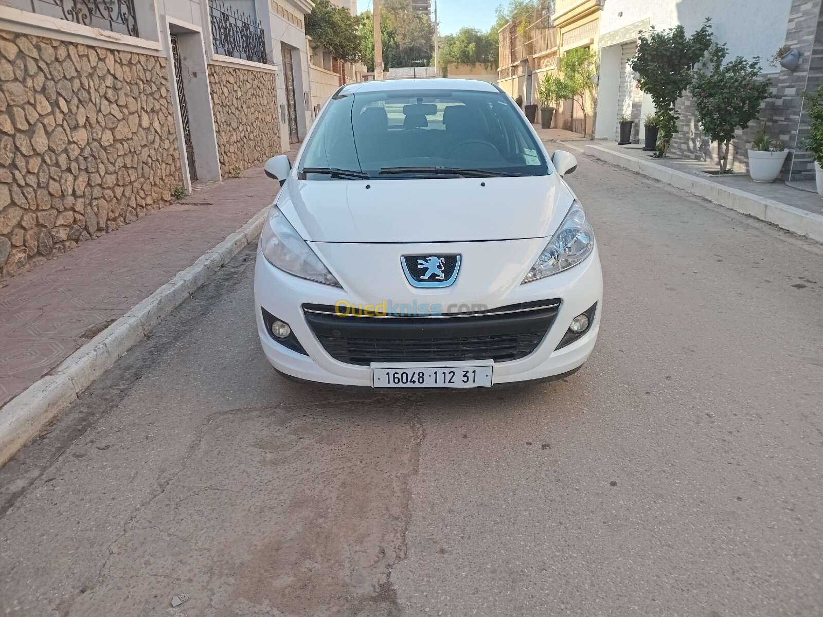 Peugeot 207 2012 Fennec