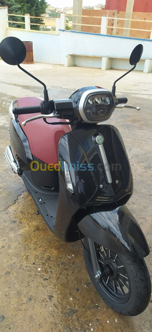 VMS Benelli 2023