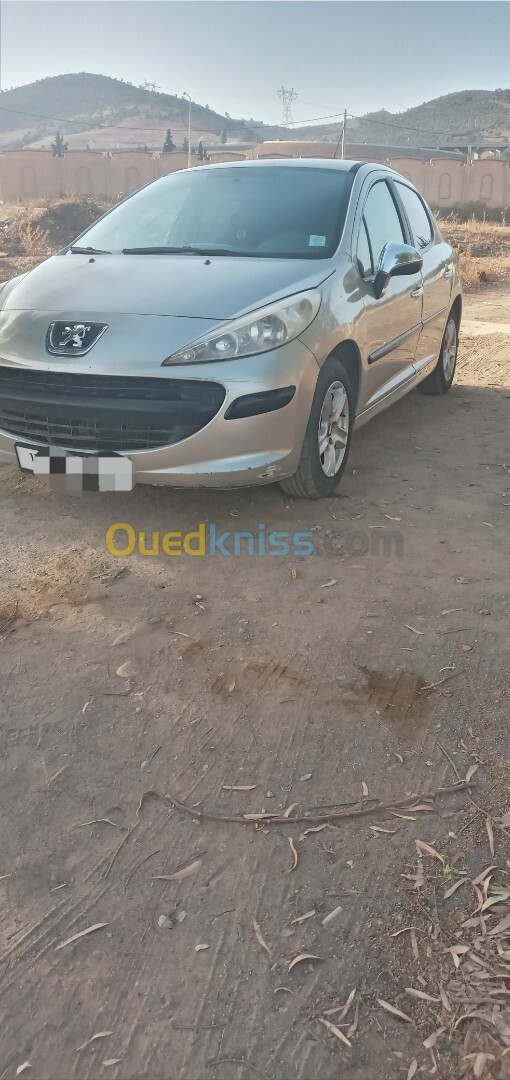 Peugeot 207 2007 Premium