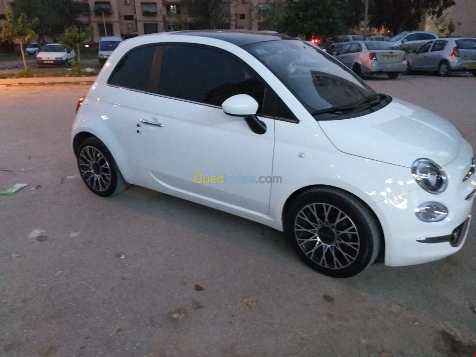 Fiat FIAT 500 2023 