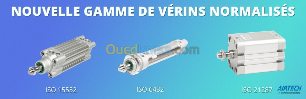 VERIN -VERIN PNEUMATIQUE - PNEUMATIQUE INDUSTRIELLE - VERIN GUIDAGE - POCHETE JOINT - VERIN COMPACT