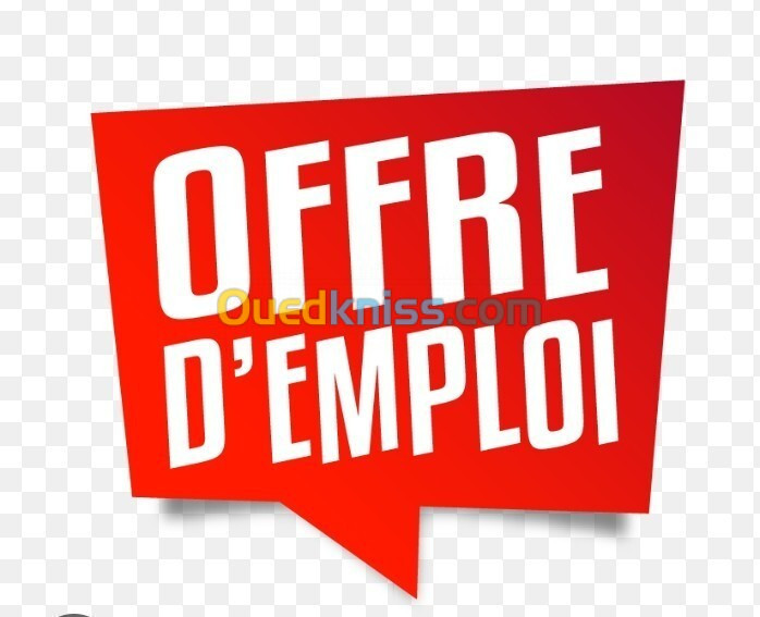 AGENT POLYVALENT- MANNUTENTIONAIRE-EMBALEUR-CHAUFFEUR