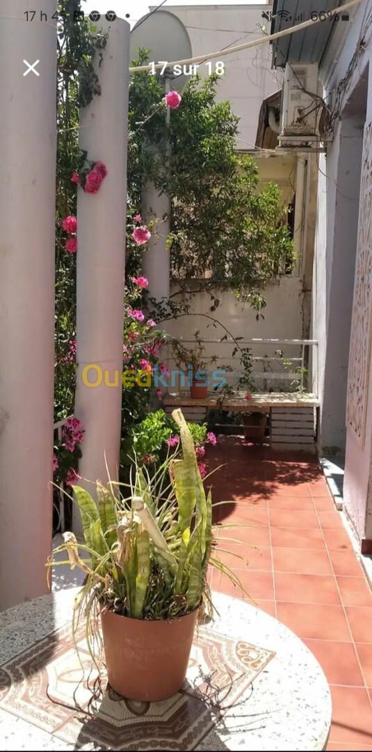 Vente Villa Alger Kouba