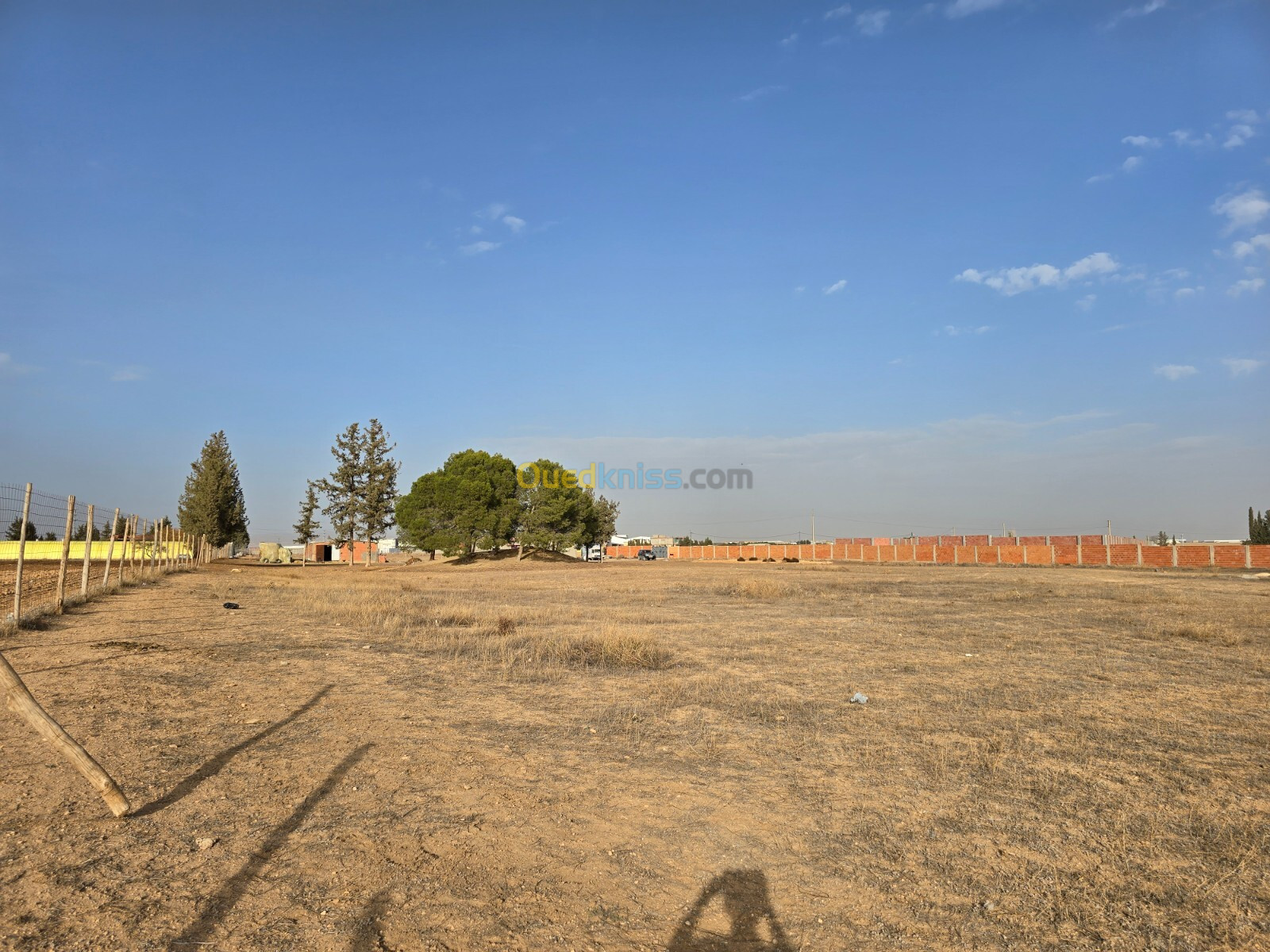 Vente Terrain Sétif Mezloug