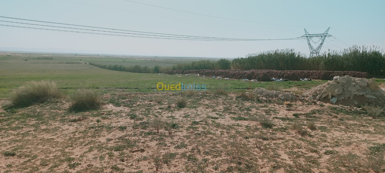 Vente Terrain Agricole Djelfa Ain oussara