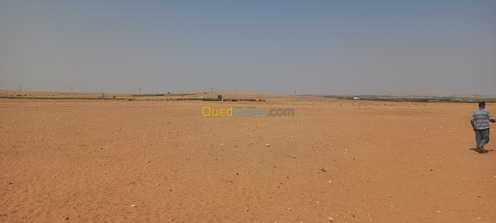 Vente Terrain Agricole Djelfa Djelfa