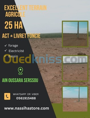 Vente Terrain Agricole Djelfa Ain oussara