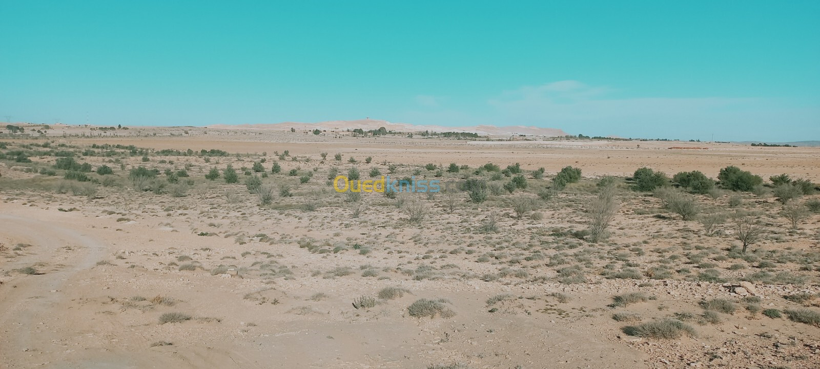 Vente Terrain Agricole Djelfa Djelfa