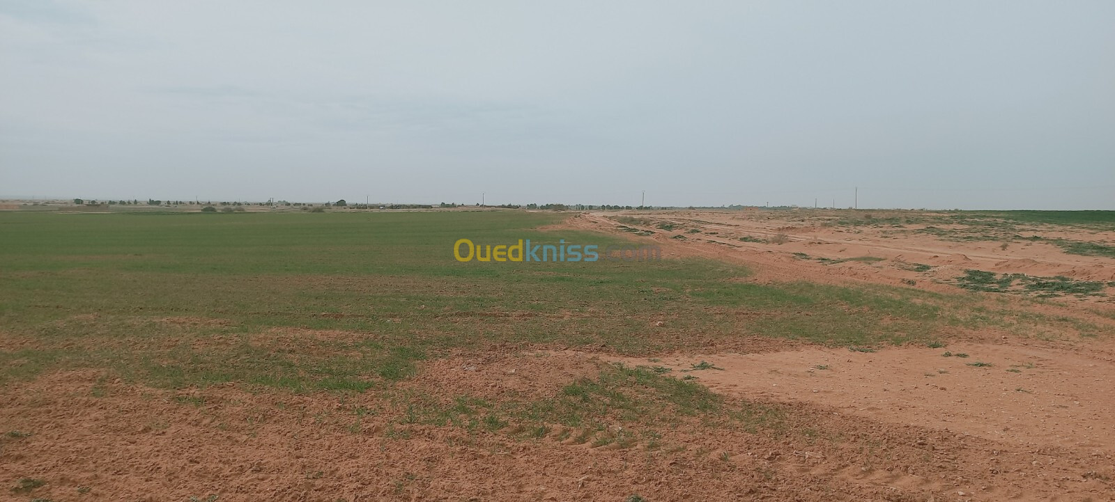 Vente Terrain Agricole Djelfa Birine