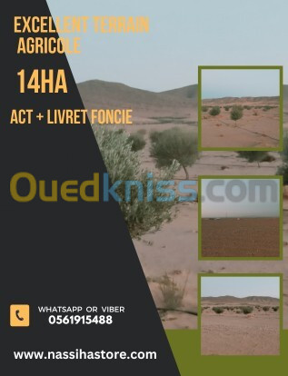 Vente Terrain Agricole Djelfa Djelfa