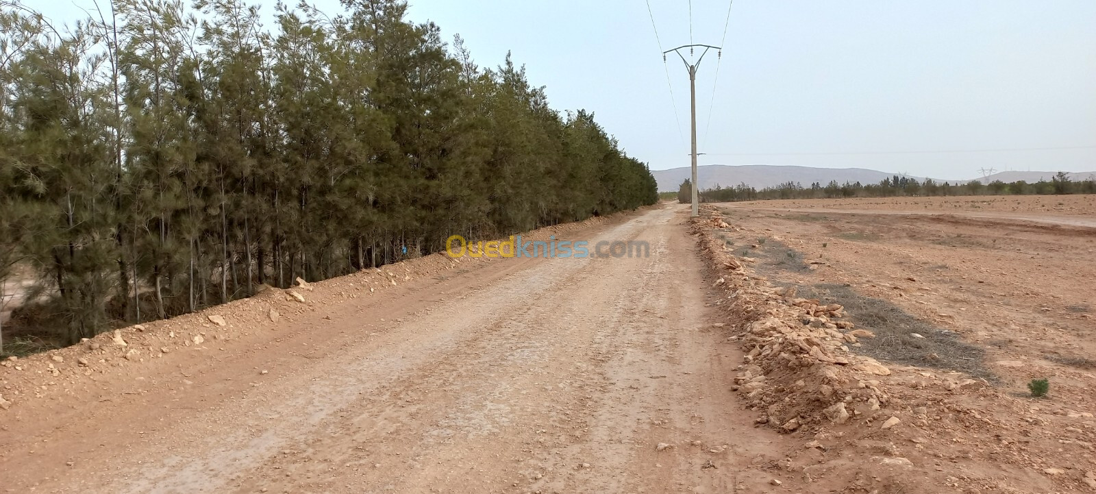 Vente Terrain Agricole Djelfa Ain oussara