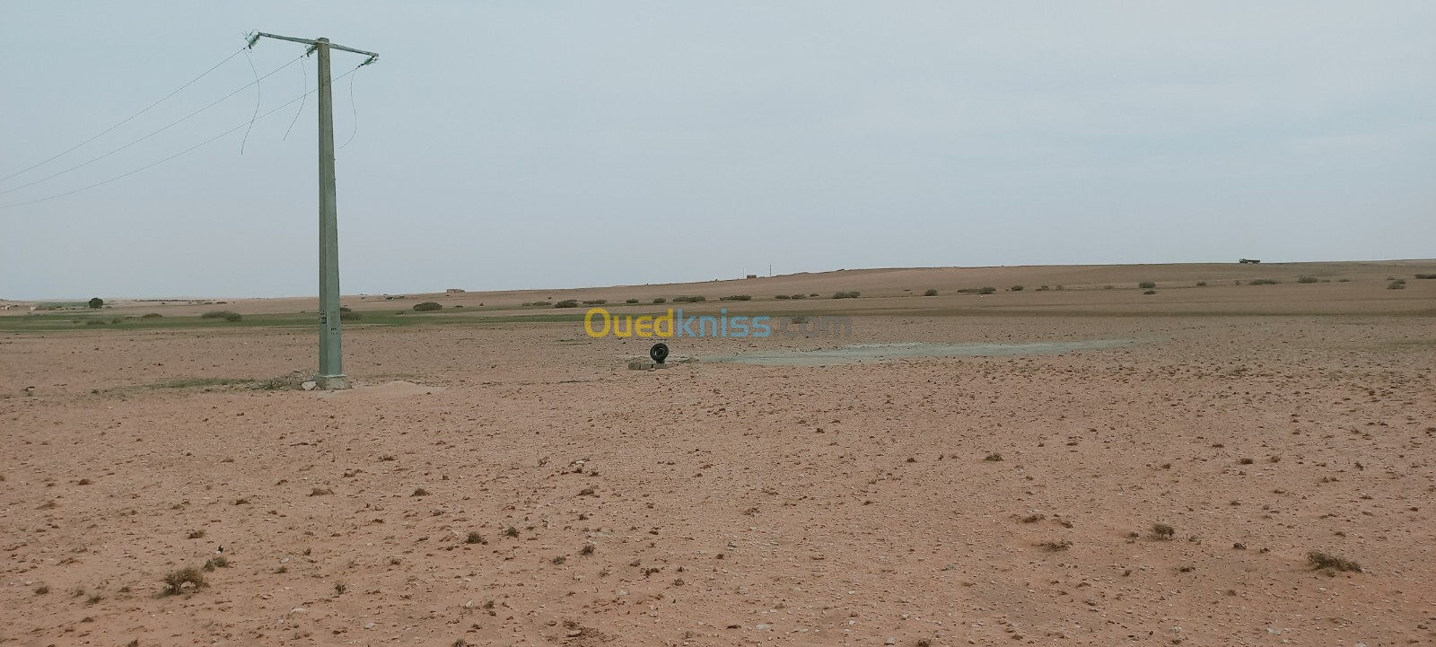 Vente Terrain Agricole Djelfa Birine