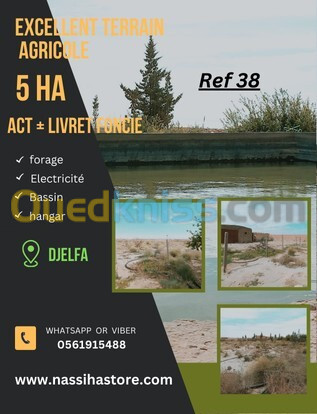 Vente Terrain Agricole Djelfa Djelfa