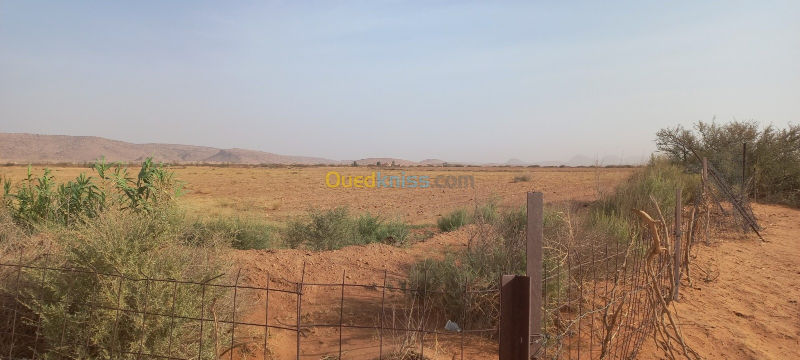 Vente Terrain Agricole Djelfa Ain oussara