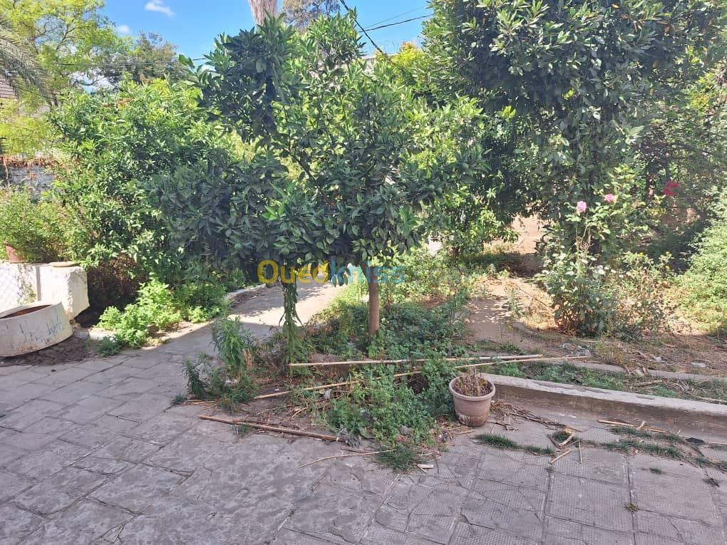 Vente Villa Annaba Annaba