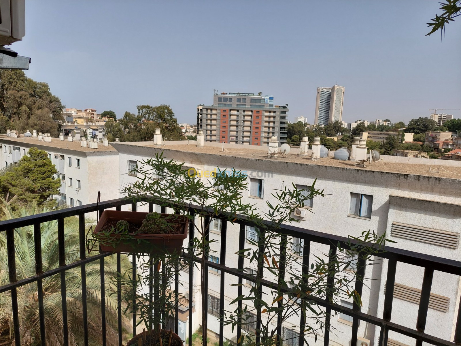 Vente Appartement F3 Alger Chevalley