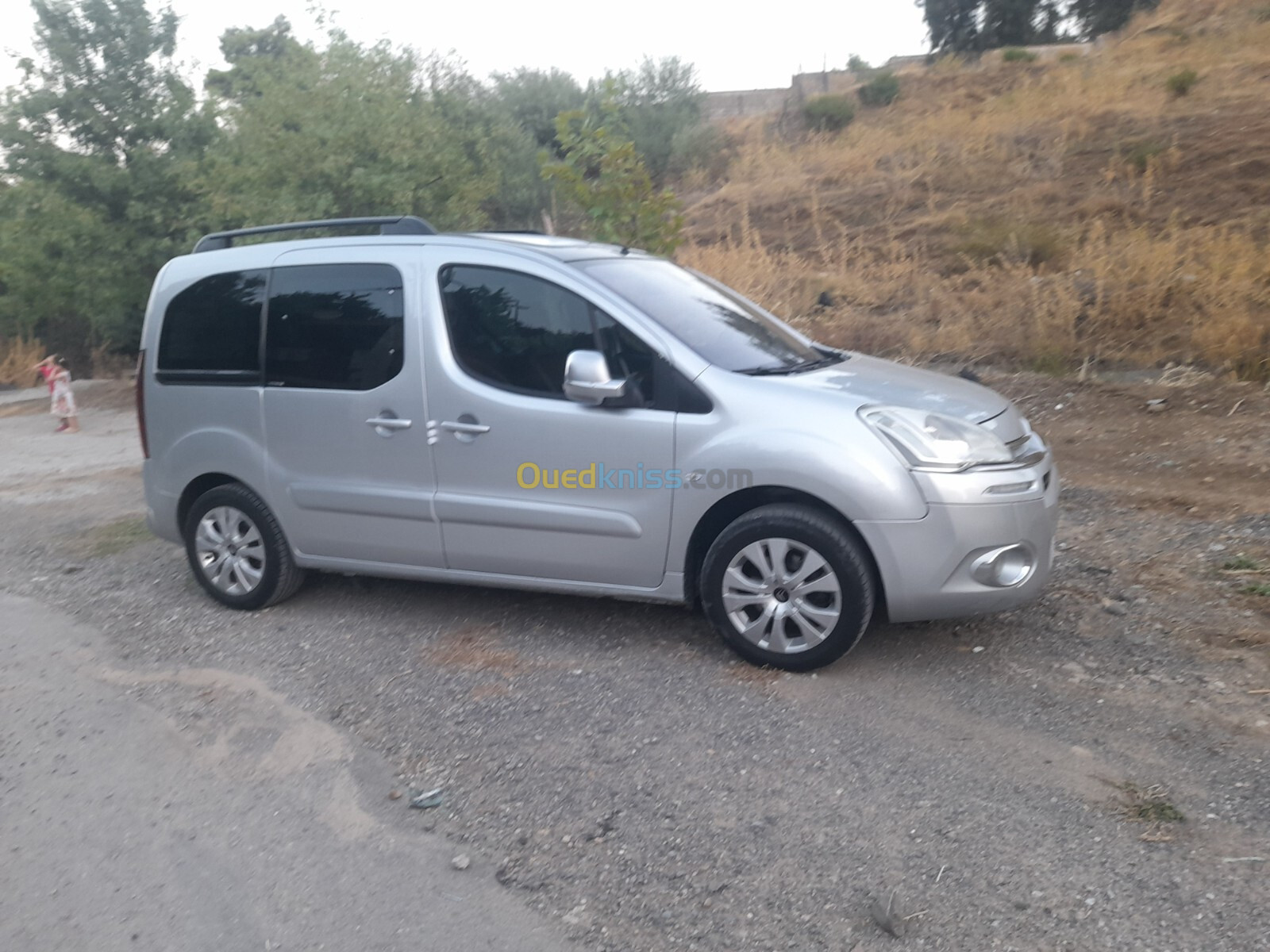 Citroen Berlingo 2014 Berlingo