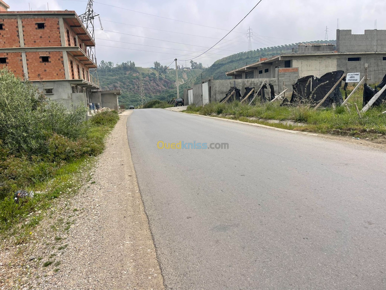 Vente Terrain Boumerdès Tidjelabine