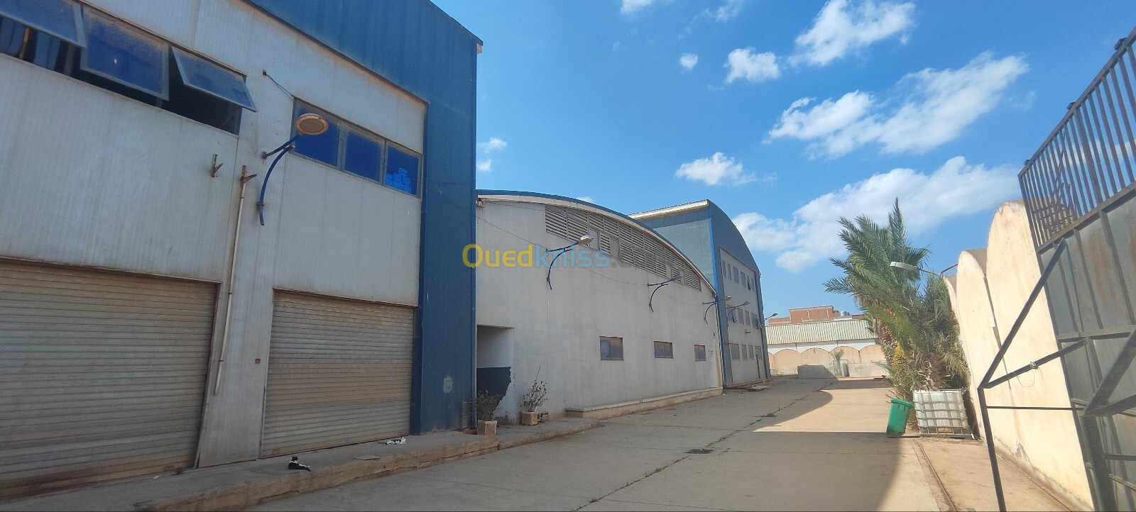 Vente Hangar Oran El Kerma