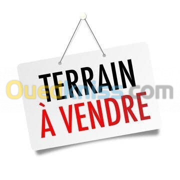 Vente Terrain Oran Bir el djir