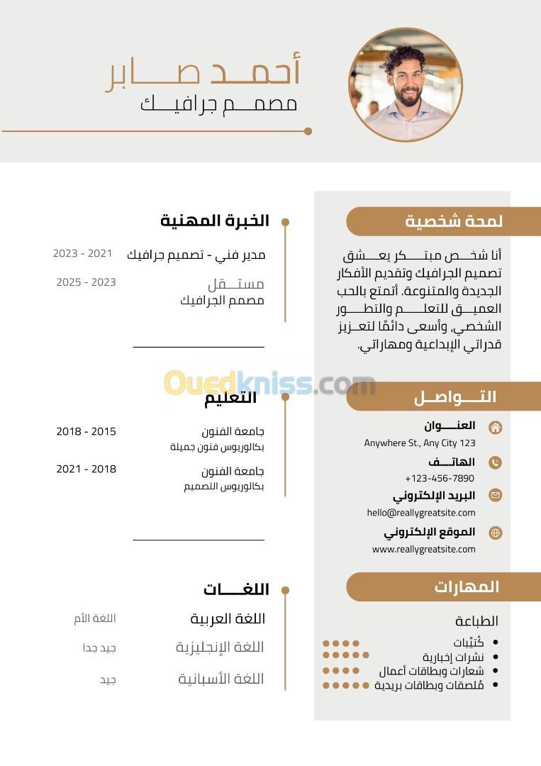 تصميم السيرة الذاتية - professional CV. 