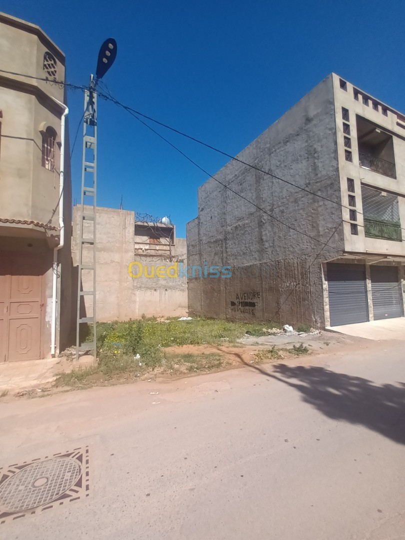 Vente Terrain Mostaganem Sidi lakhdaara