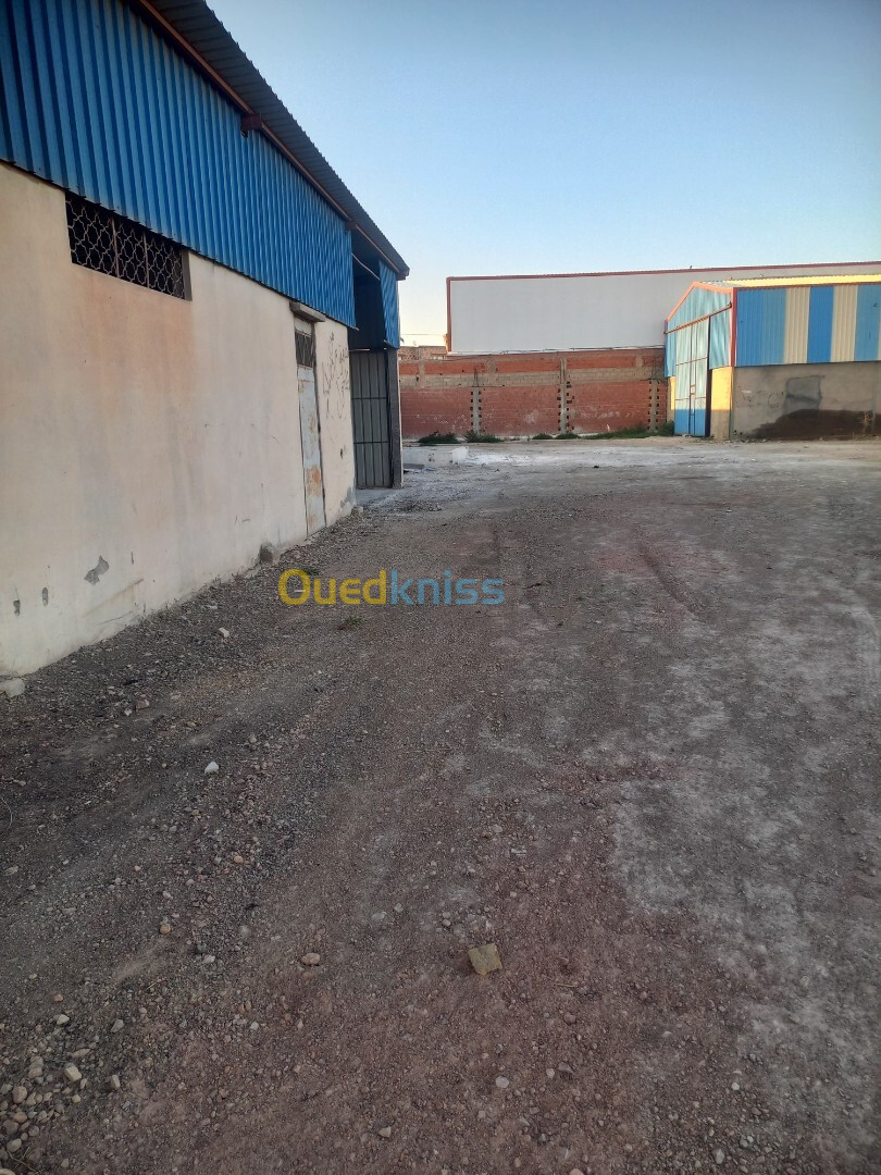 Location Hangar Sétif Ouled sabor