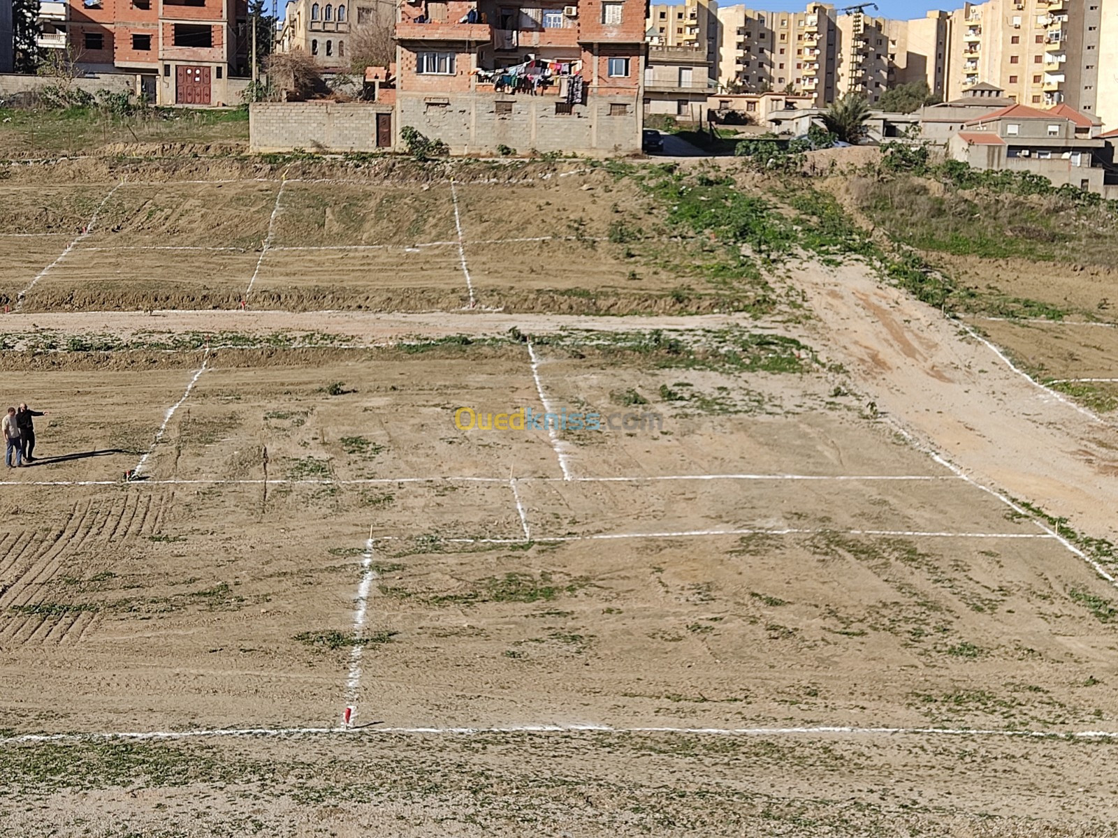 Vente Terrain Alger Ouled fayet