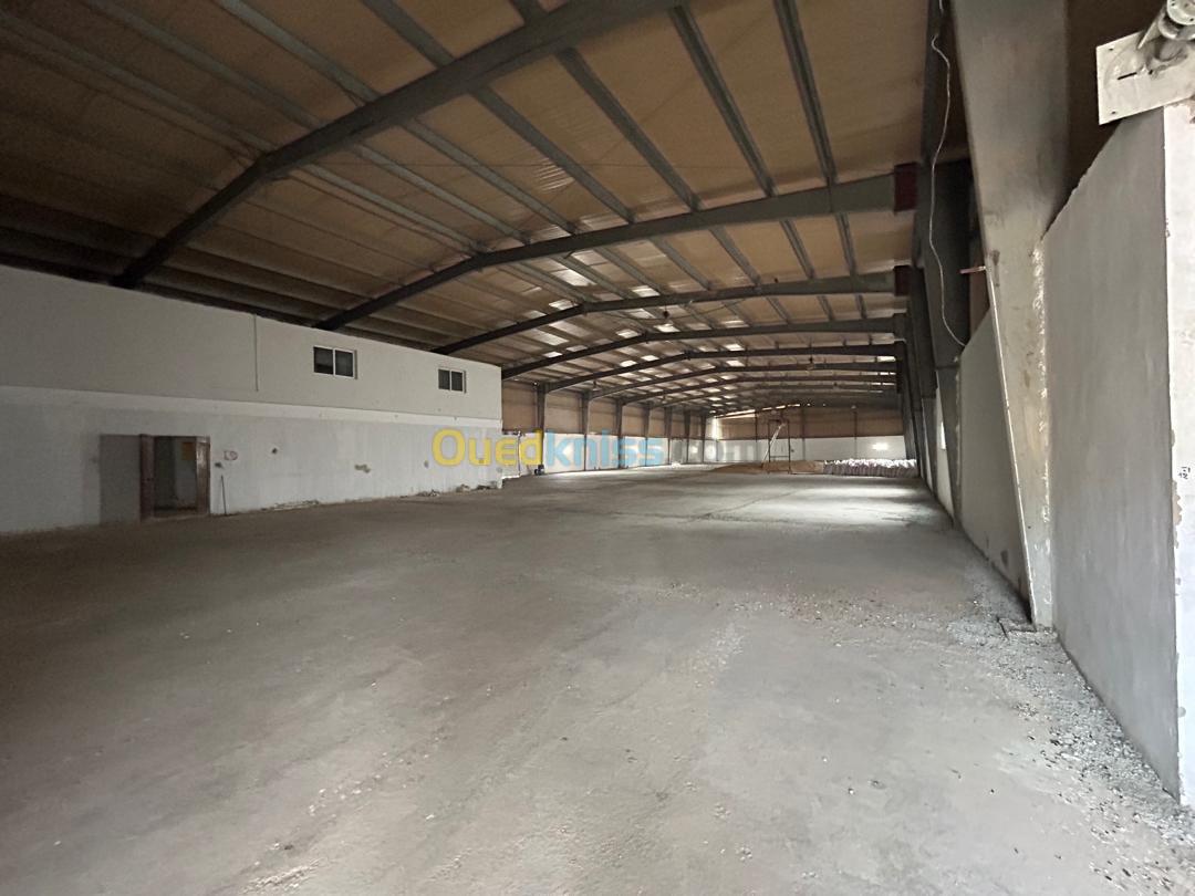 Location Hangar Oran Oued tlelat