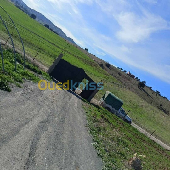 Location Hangar Médéa Zoubiria