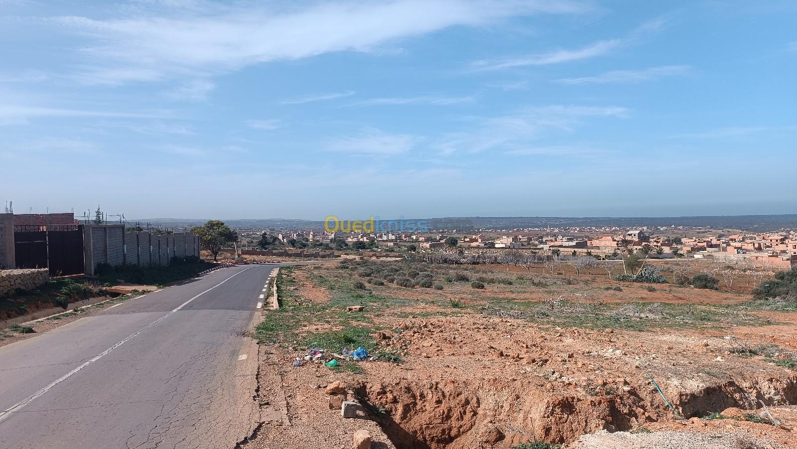 Vente Terrain Mostaganem Sidi lakhdaara