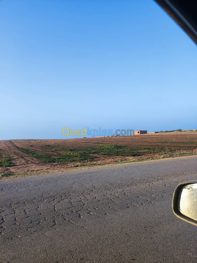 Vente Terrain Agricole Mostaganem Stidia