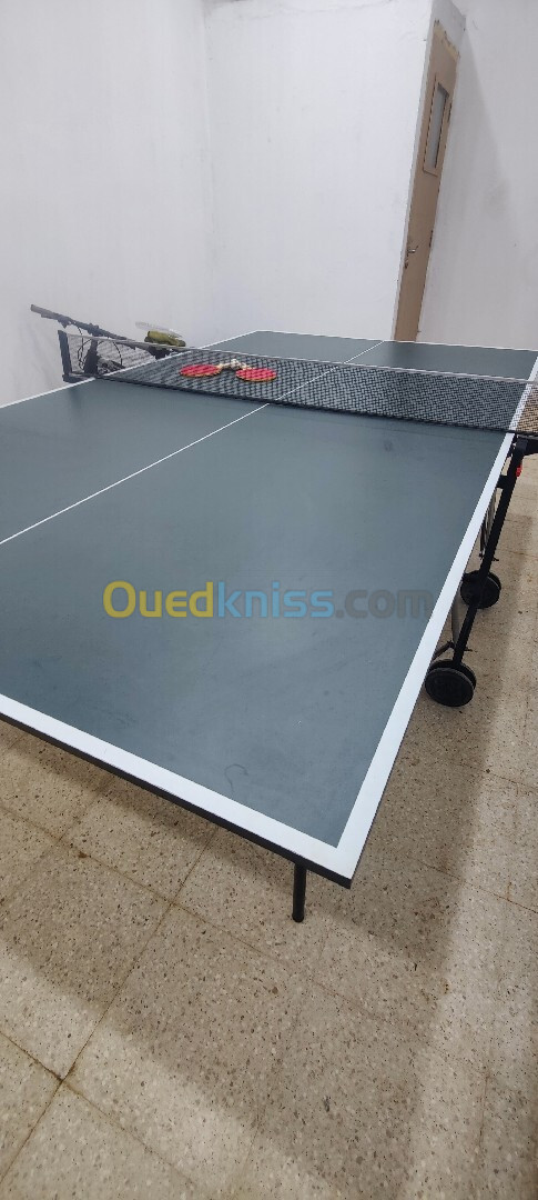 Tennis de Table, ping pong professionnel 