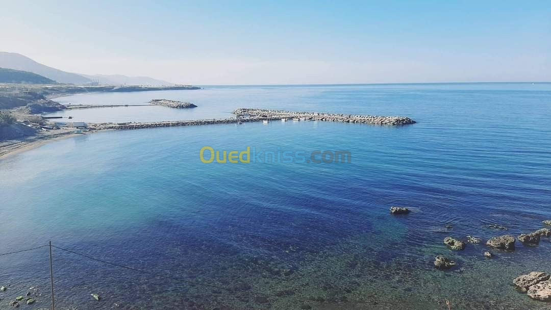 Vente Terrain Tipaza Sidi ghiles