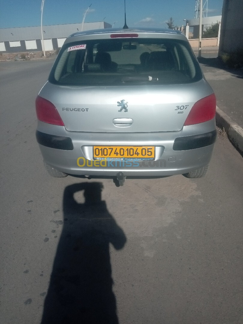 Peugeot 307 2004 307