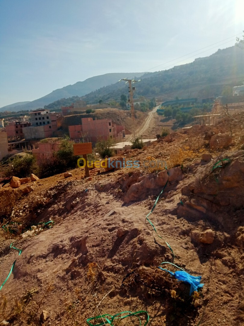 Vente Terrain Tlemcen Tlemcen