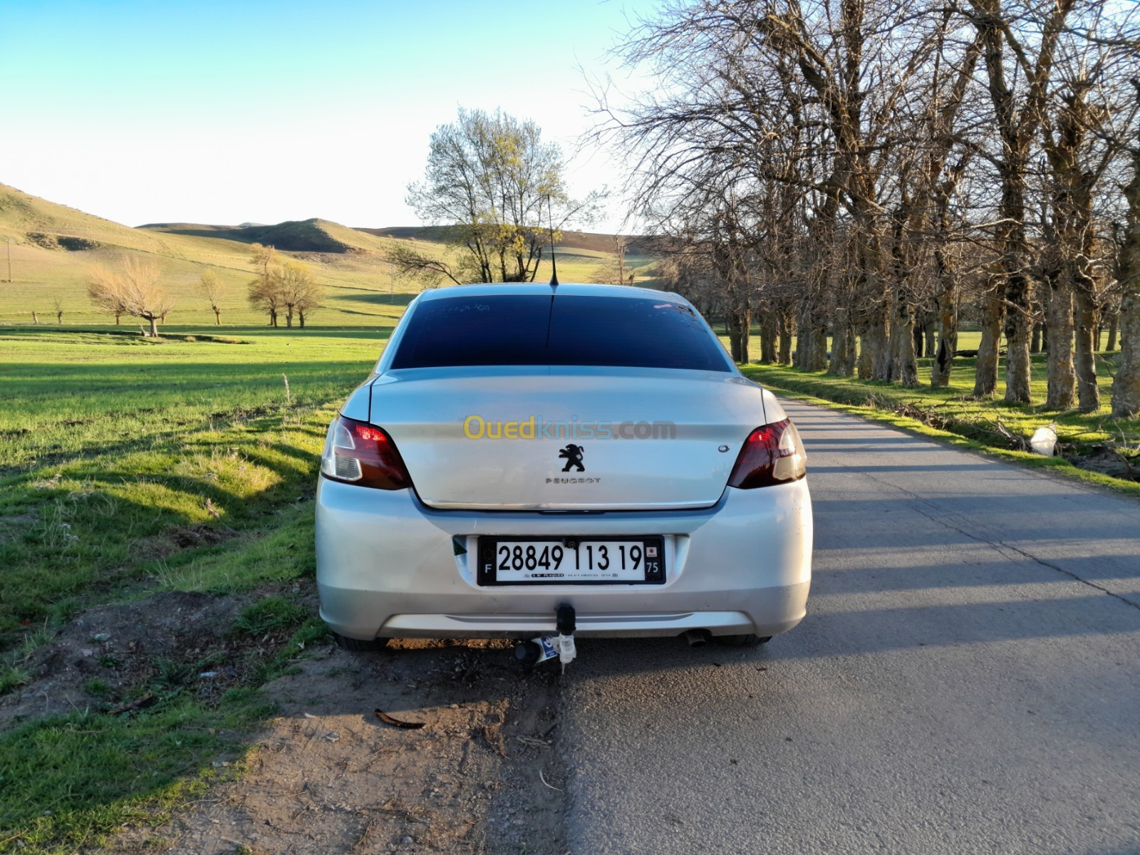 Peugeot 301 2013 301